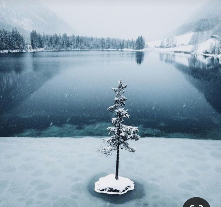 Screenshot_20240126_152411_Pinterest