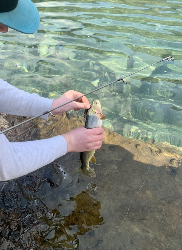 52121BF3-E0ED-49A3-8791-7232D120477A