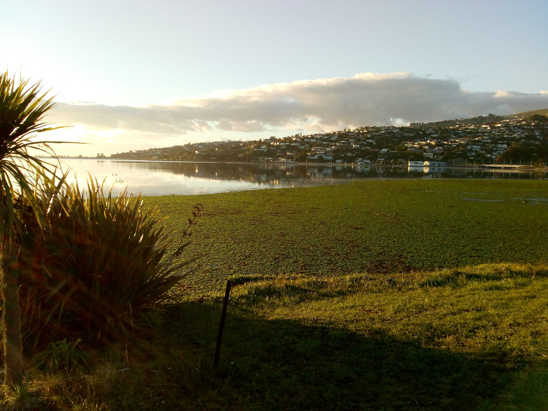 IMG_20180422_074453473