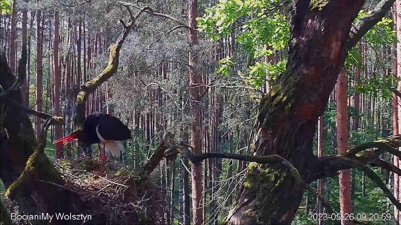 Zrzut ekranu (14084)