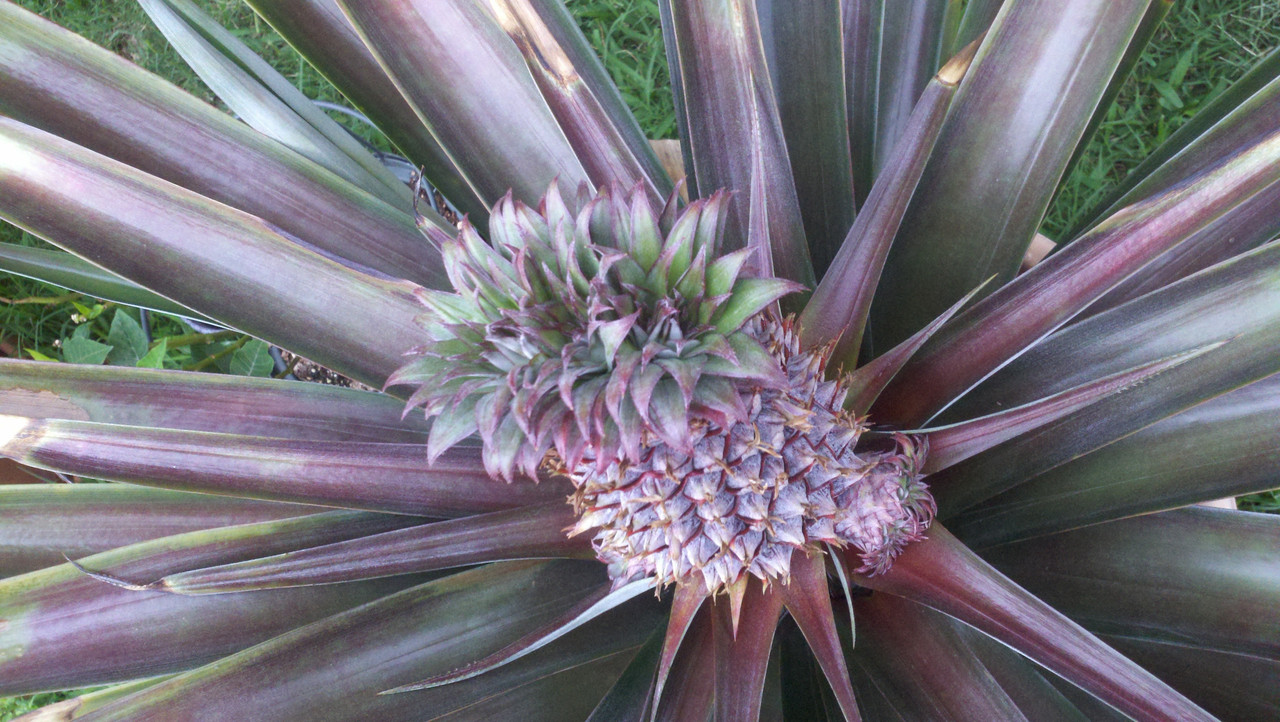 2013-05-19_15-29-18_295