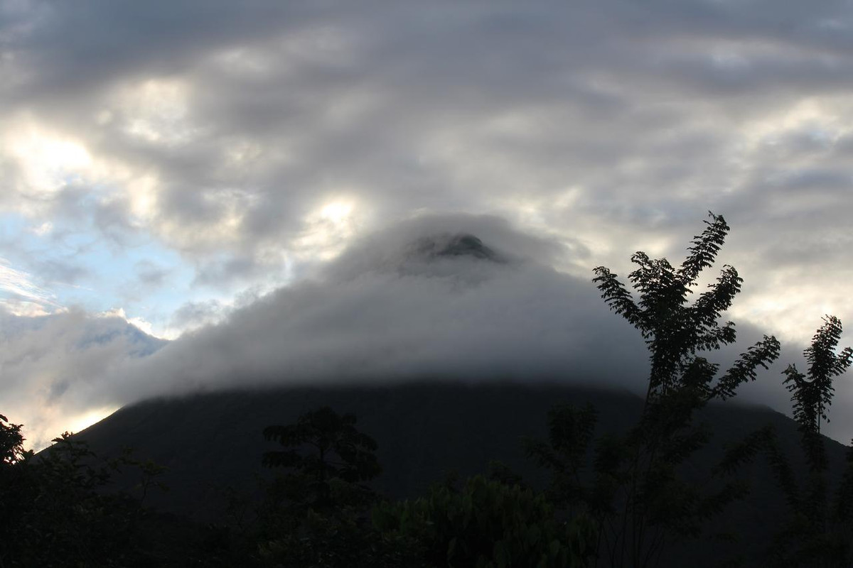 DIA 7: ARENAL. CATARATA FORTUNA - DE TORTUGAS Y PEREZOSOS. COSTA RICA 2019 (33)