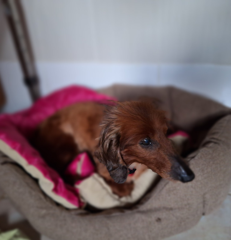 [Image: 20240326-182219.jpg]