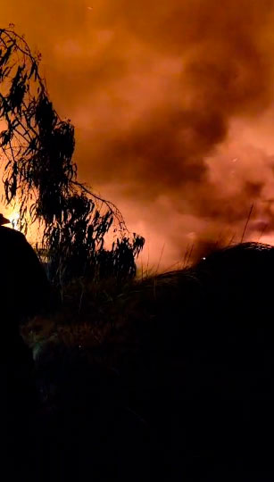 INCENDIO EN EL VIVERO FORESTAL NO SE PUEDE CONTROLAR AUN
