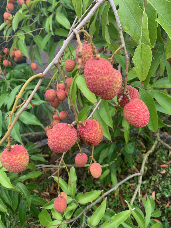 2FAFBCFA-84FD-4CCE-8C1D-248D3FD46651