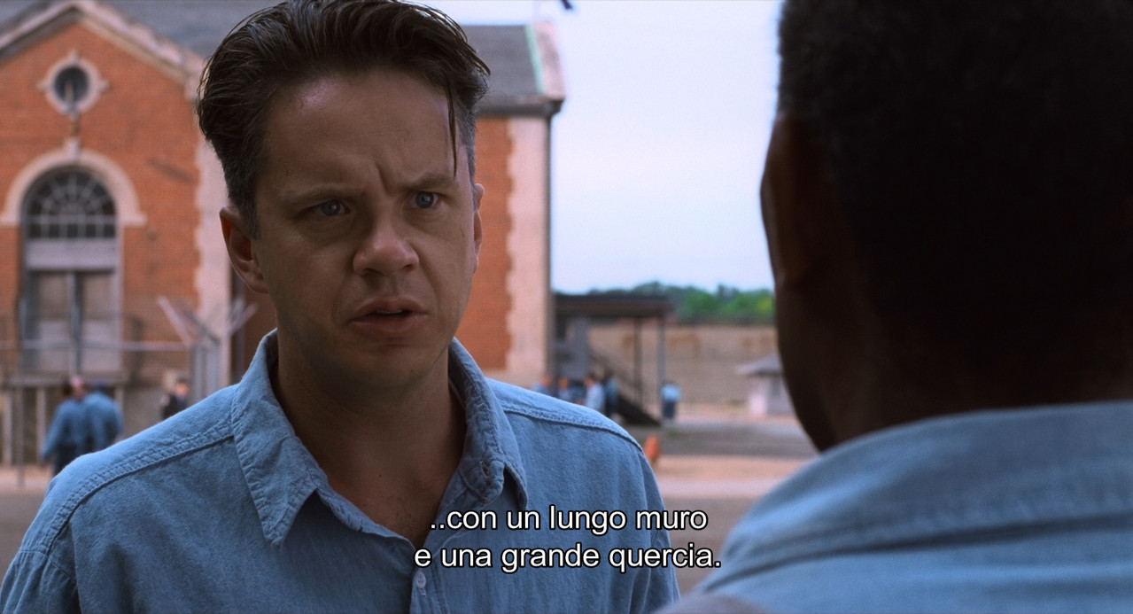The Shawshank Redemption (1994) RM4K (1080p Blu Ray x265 HEVC 10bit ITA ENG) GEGE mkv snapshot 01 4