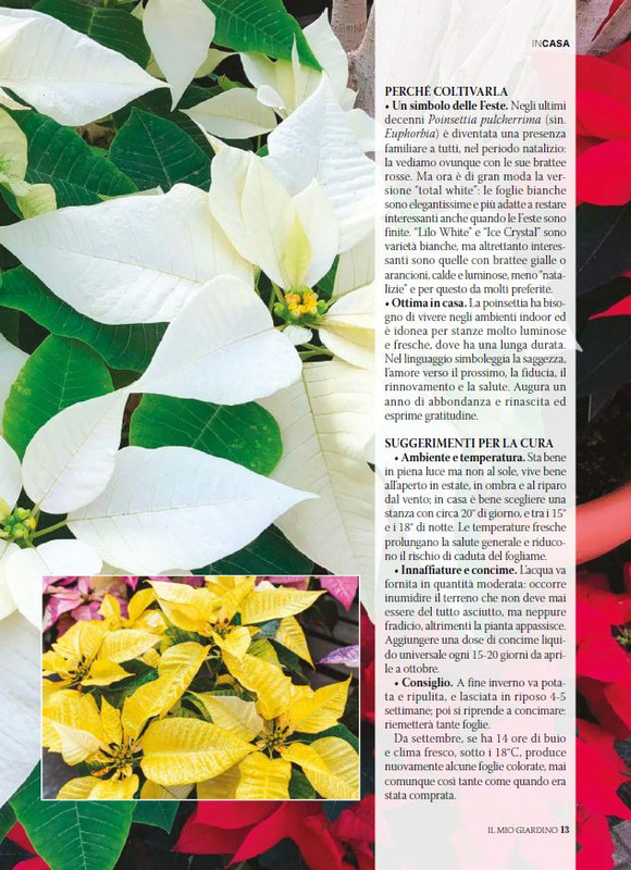 Il Mio Giar Dic 2025 Gen 2026 (2)