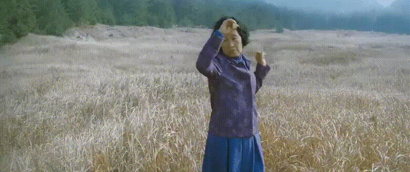 Mother-2009-Bong-Joon-ho-mere.gif