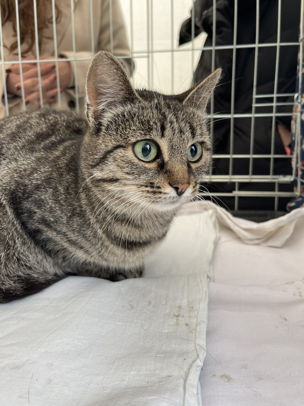 A64FA9CD-2F26-4203-AB2E-19427C7A14D8