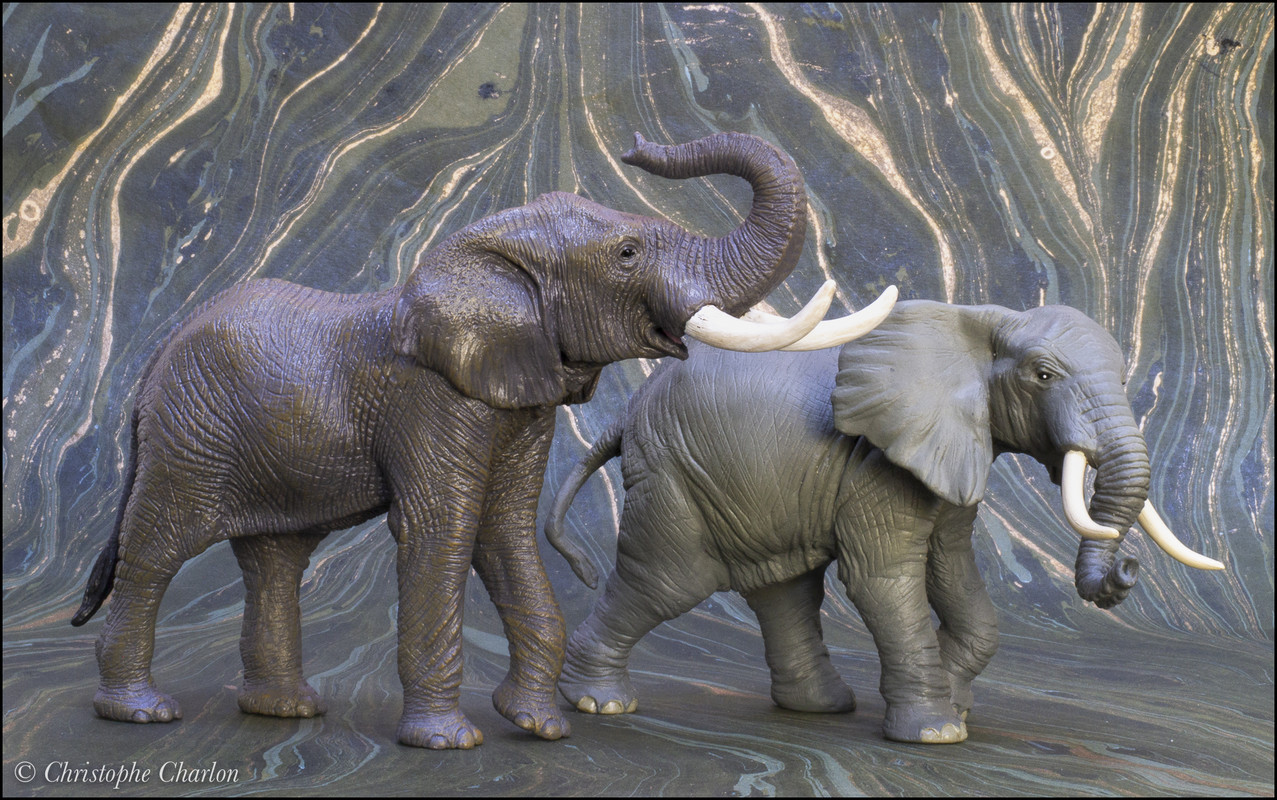Mojo 2021 African elephant: a Walkaround by Kikimalou Mojo-381005-African-elephant-18