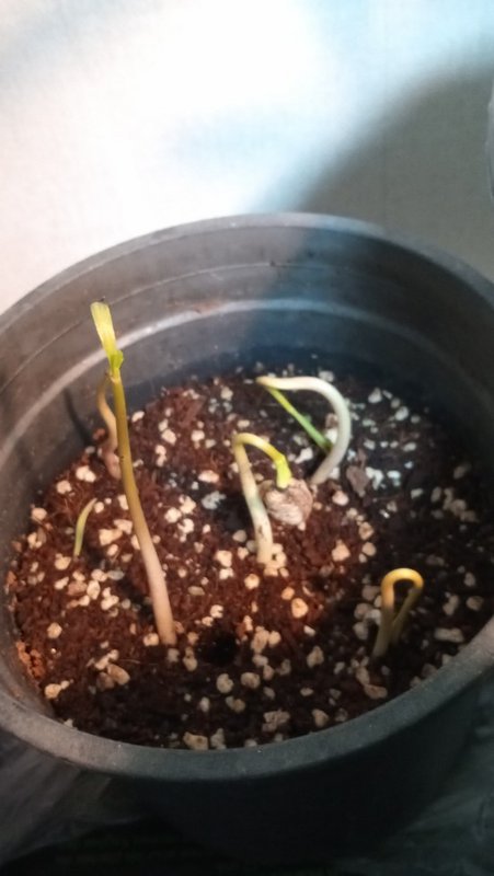 KakaoTalk_20240123_210213760