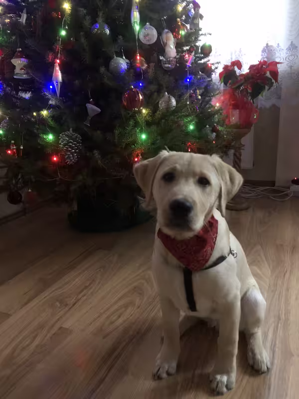 116E4680-08B1-4ED3-8CD4-2A017D3393A8