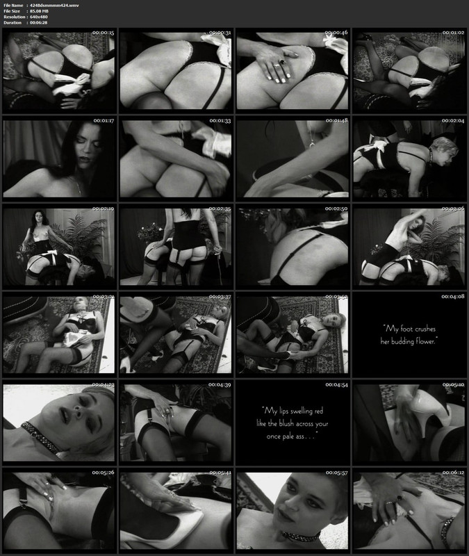 424Bdsmmmm424.wmv