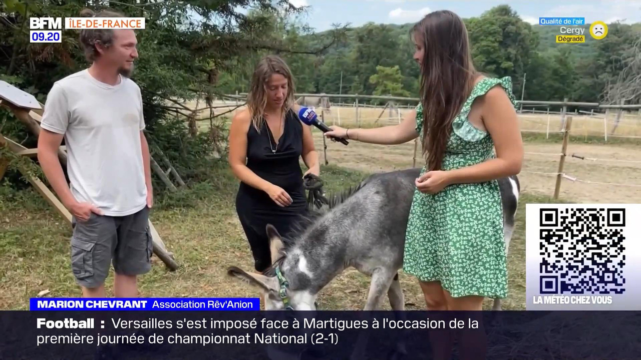vlc-record-2022-08-13-16h22m53s-08.13 - 07.55.51-1.m4v-.mp4_snapshot_05.19_[2022.08.13_17.05.06]