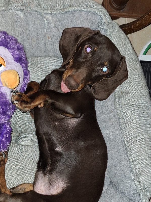 [Image: 20240128-200637.jpg]