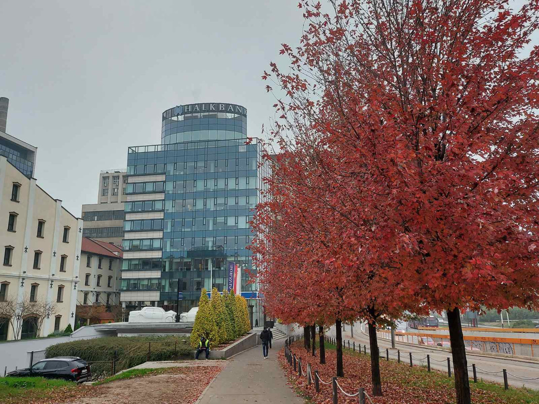 mlindrvece-2020-11-16-19-07-34.jpg