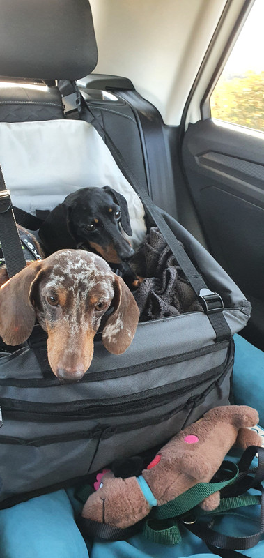 [Image: 20211024-121059.jpg]