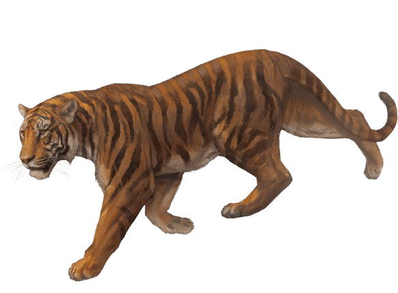 Tiger.png