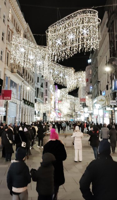 Adios Praga, hola Mercado del Ayuntamiento de Viena y concierto - Viena - Bratislava - Praga, Navidad 2024 (23)