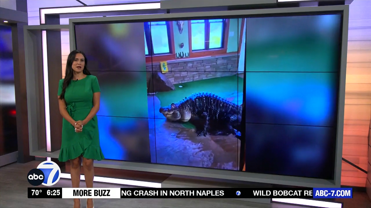 Abc7 More In The Morning Wkn 6Am Su 20240317 10001100-1.mp4_snapshot_21.33.759