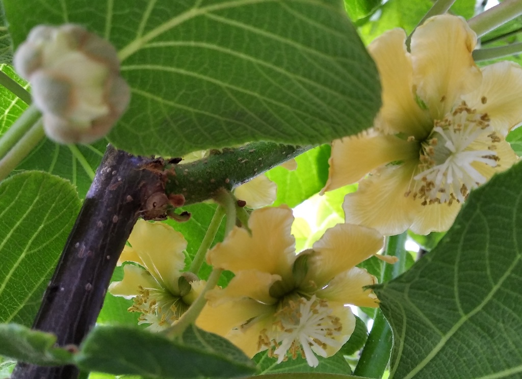 IMG_20200511_194435_1