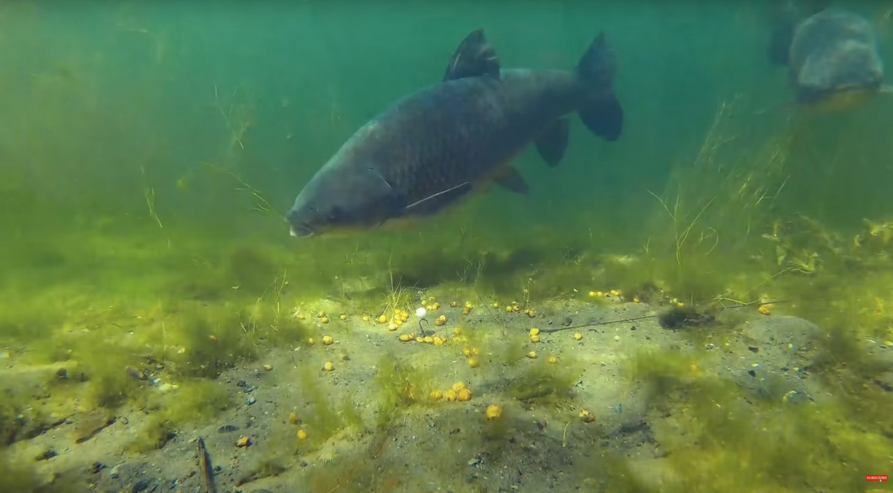 Новый рисунок (28)