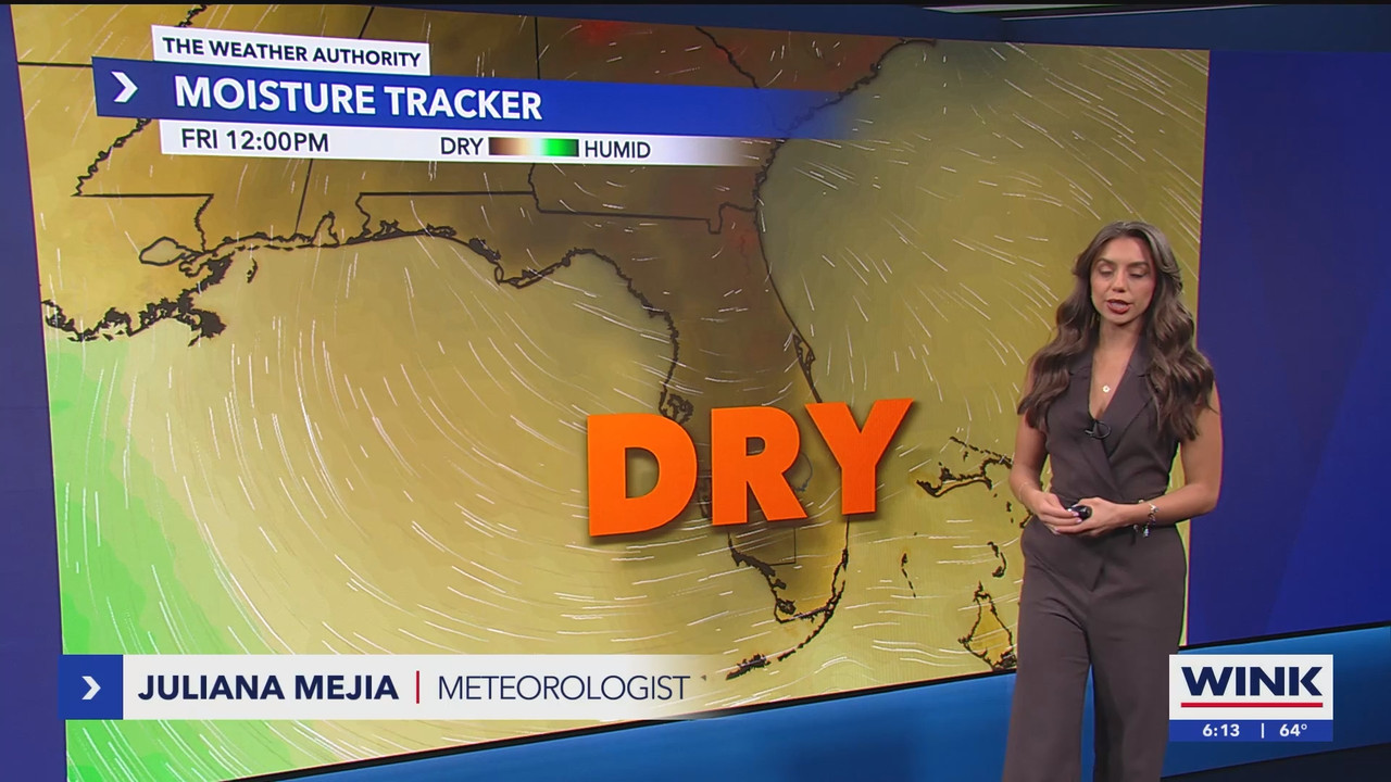WINK News at 600am_20250306_11001130.ts_snapshot_14.54.254
