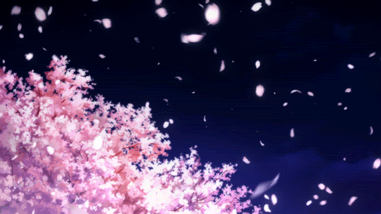 unnamed-17