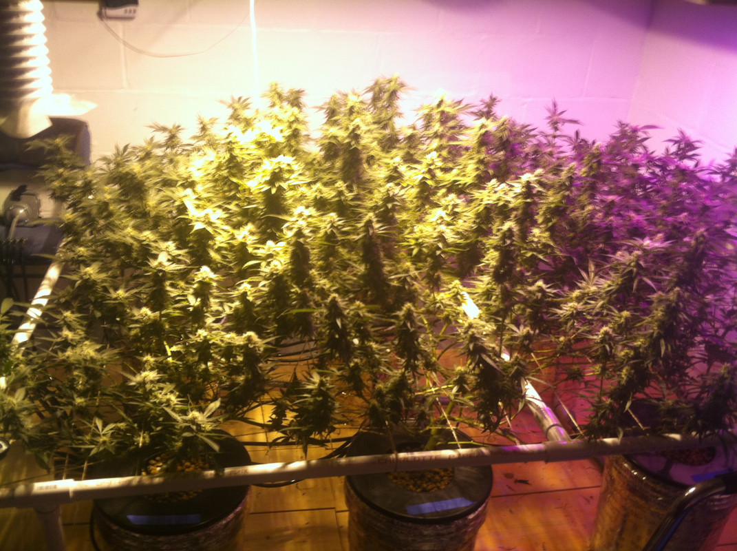 A6ADD738-DB19-4982-B5A3-19913B9F4042