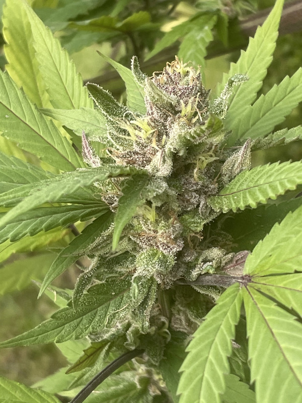 16573027-8A77-4104-A034-3B97A248E65C