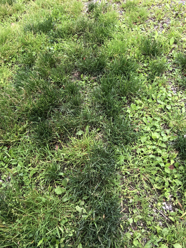 DC927CA7-734D-426F-8BFF-758476BA28E5