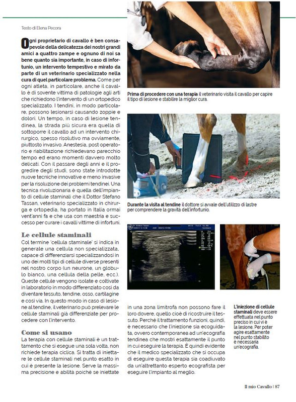 Il Mio Cav (Nov 2022) 10