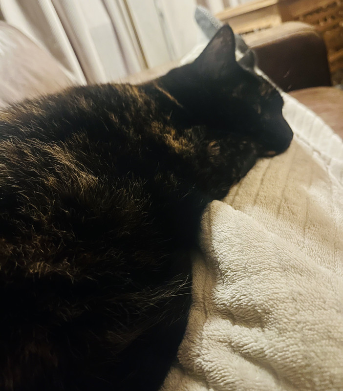 CE2F34F7-AF3E-45CE-B4EE-2F00C2F31A21