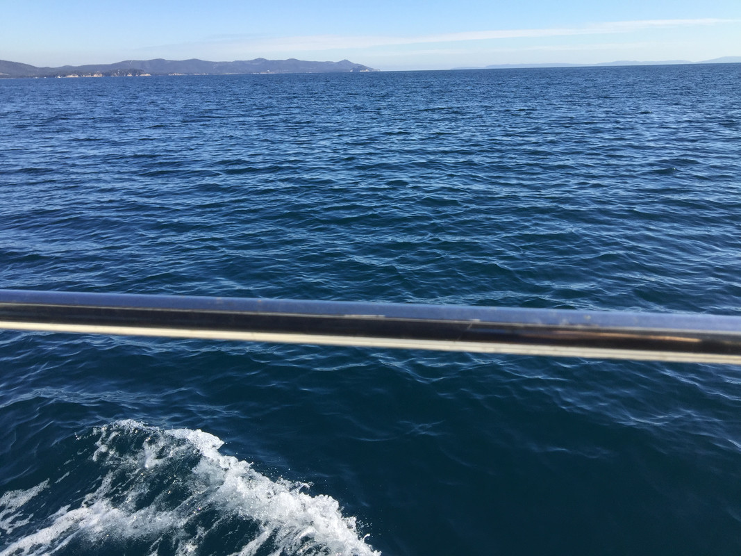 A92C6F61-B1FA-4B19-8C99-6F9F8612D772