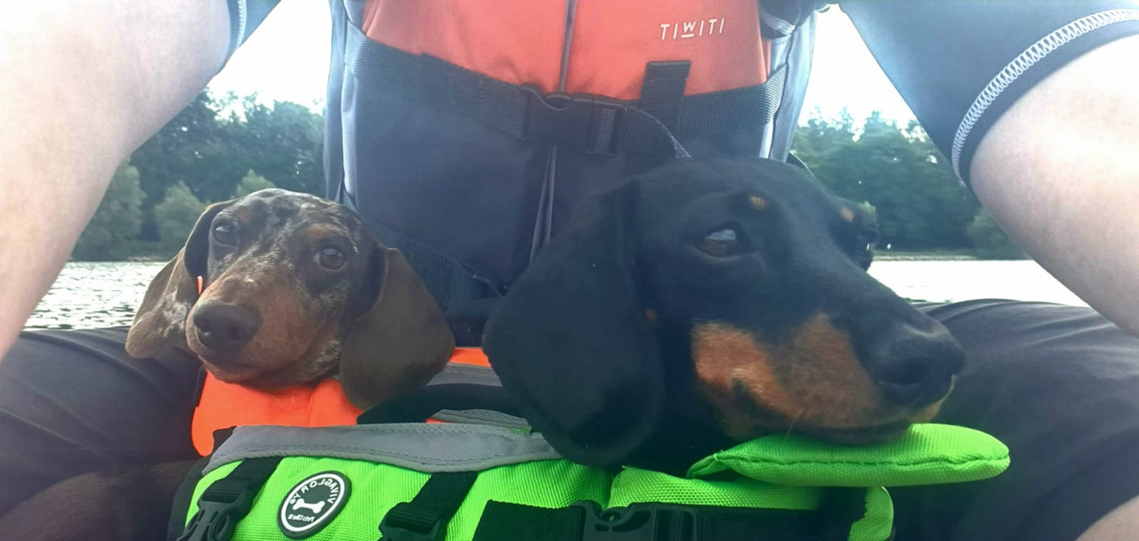 [Image: IMG-20220806-WA0015.jpg]