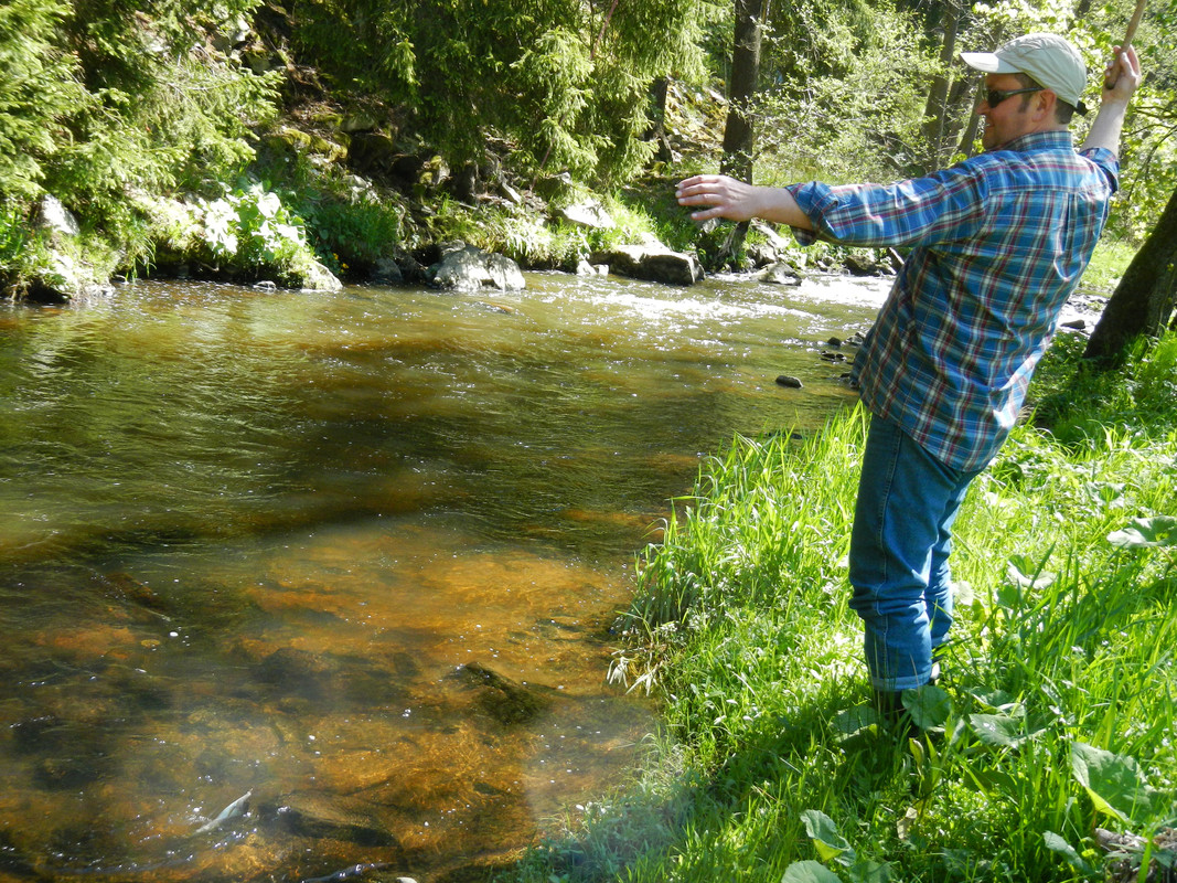 Копировать DSCN4164