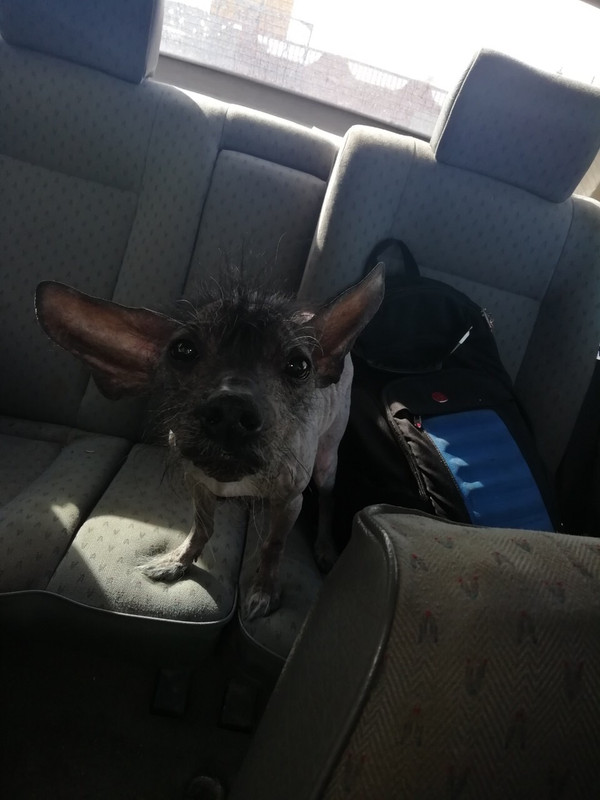 AB8BA9EF-E8C6-4AE3-B0AA-40FF730D4FD5