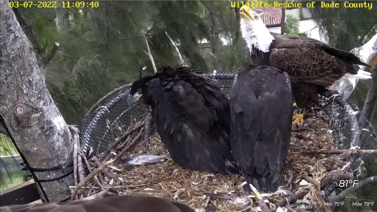 41A8FE9C-569E-4515-88DF-710D51C21D20