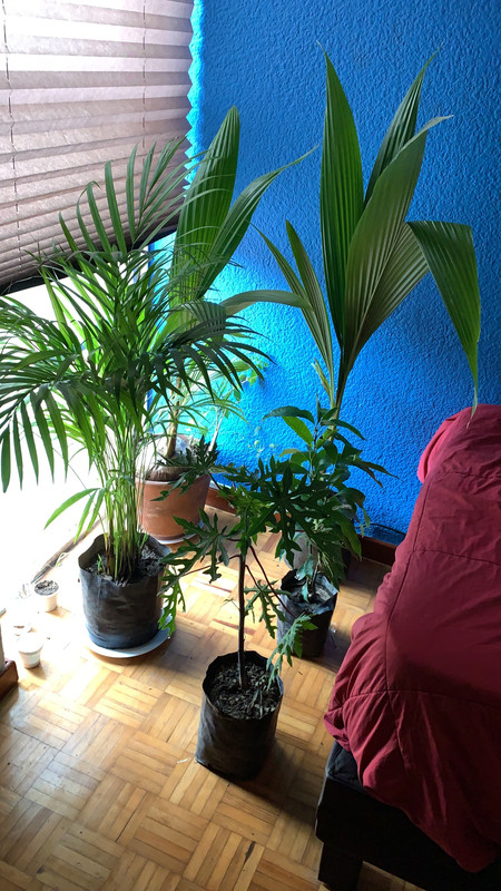 92B546D8-9436-47DC-864C-0F33AB20CF9B