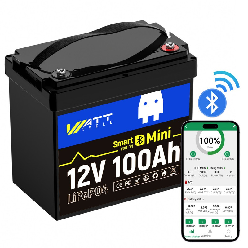 WT12V100AH100MINIBT