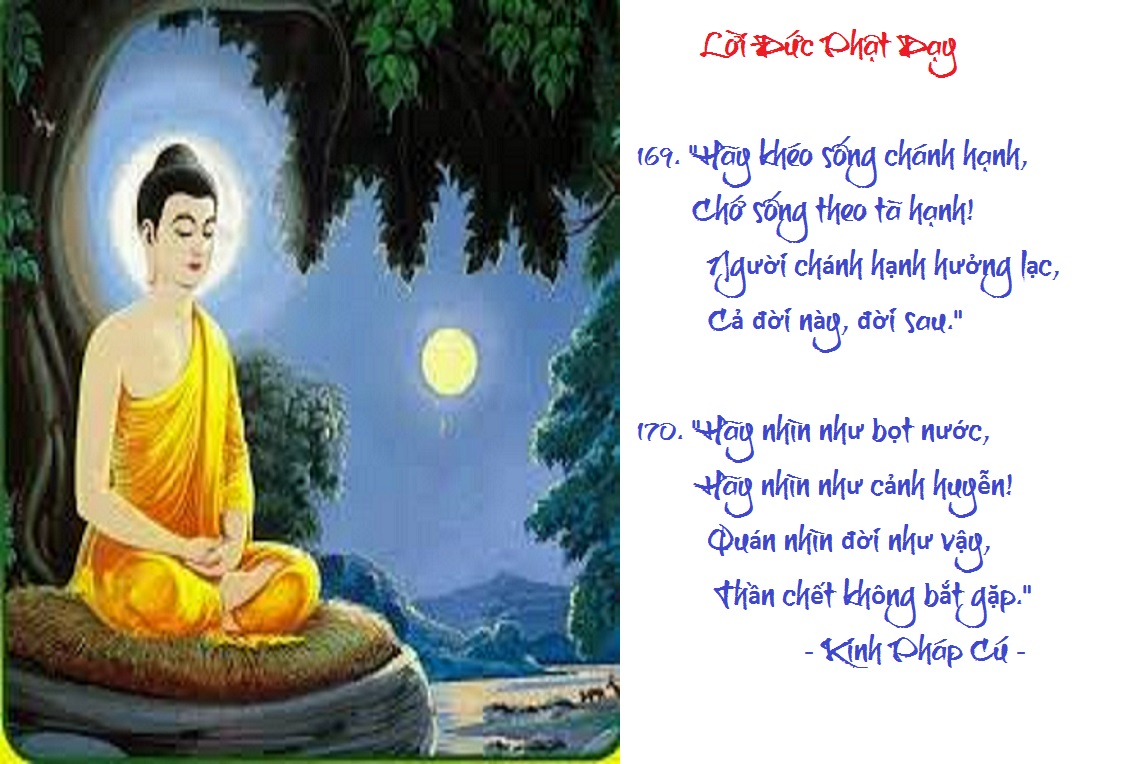 [Image: VERSE169170.jpg]