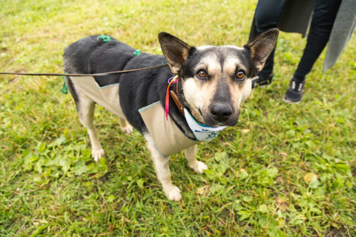 07484C03-F732-4C4E-9118-719A4679221B