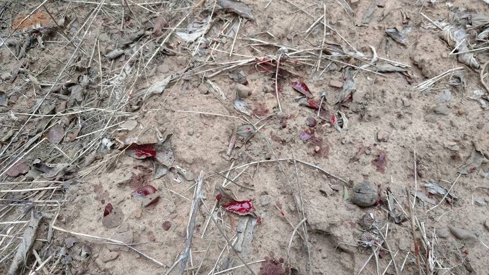 EBD0B222-FA10-4AEB-931C-06265A4F1E8A