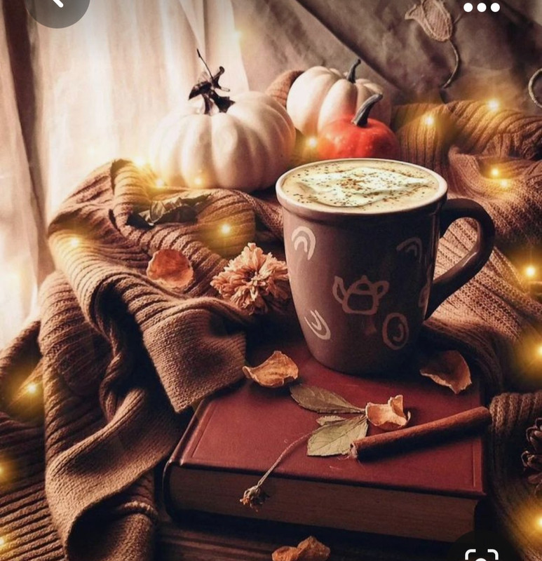 Screenshot_20231008_214353_Pinterest