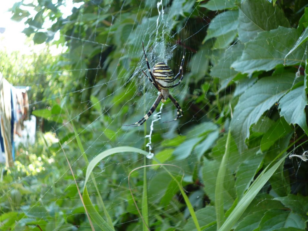 P1160298 [Разрешение рабочего стола]