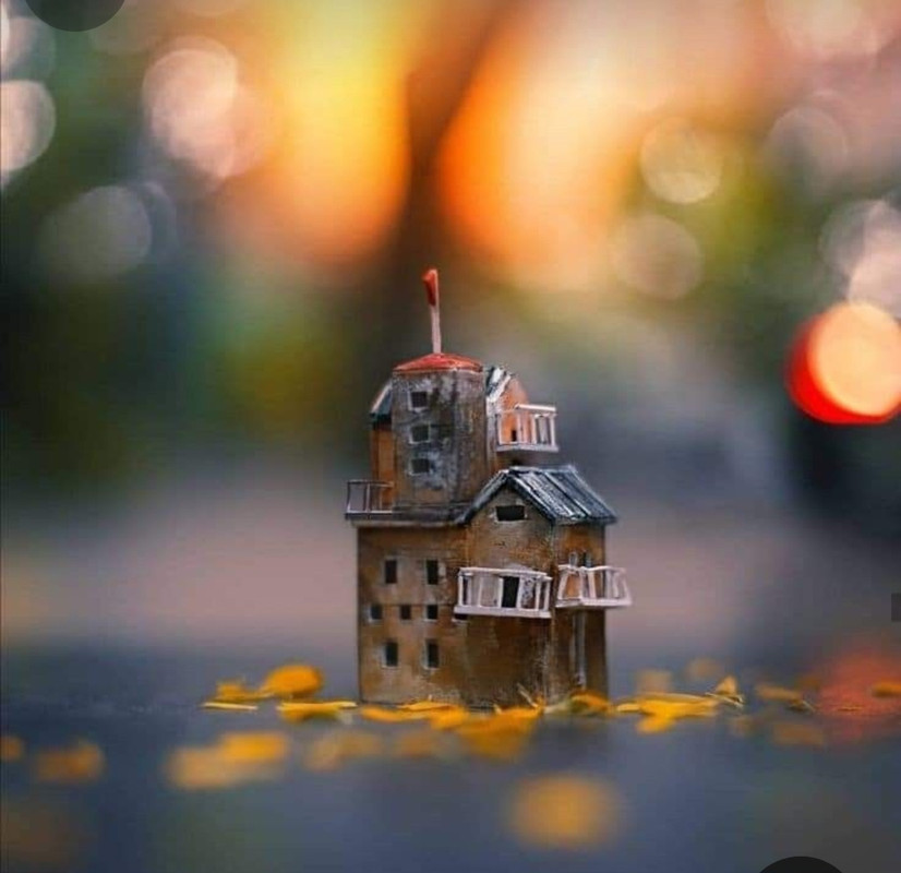 Screenshot_20231219_230237_Pinterest