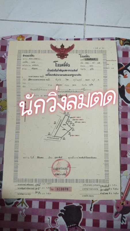t8Zn Jl1781169236