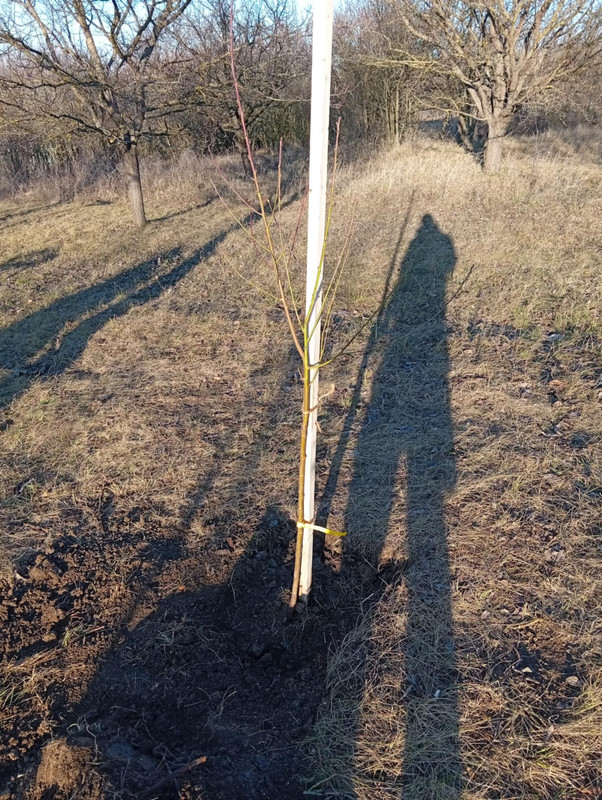 e1e77ad8 f9de 4df2 a9f1 203cd50468ef