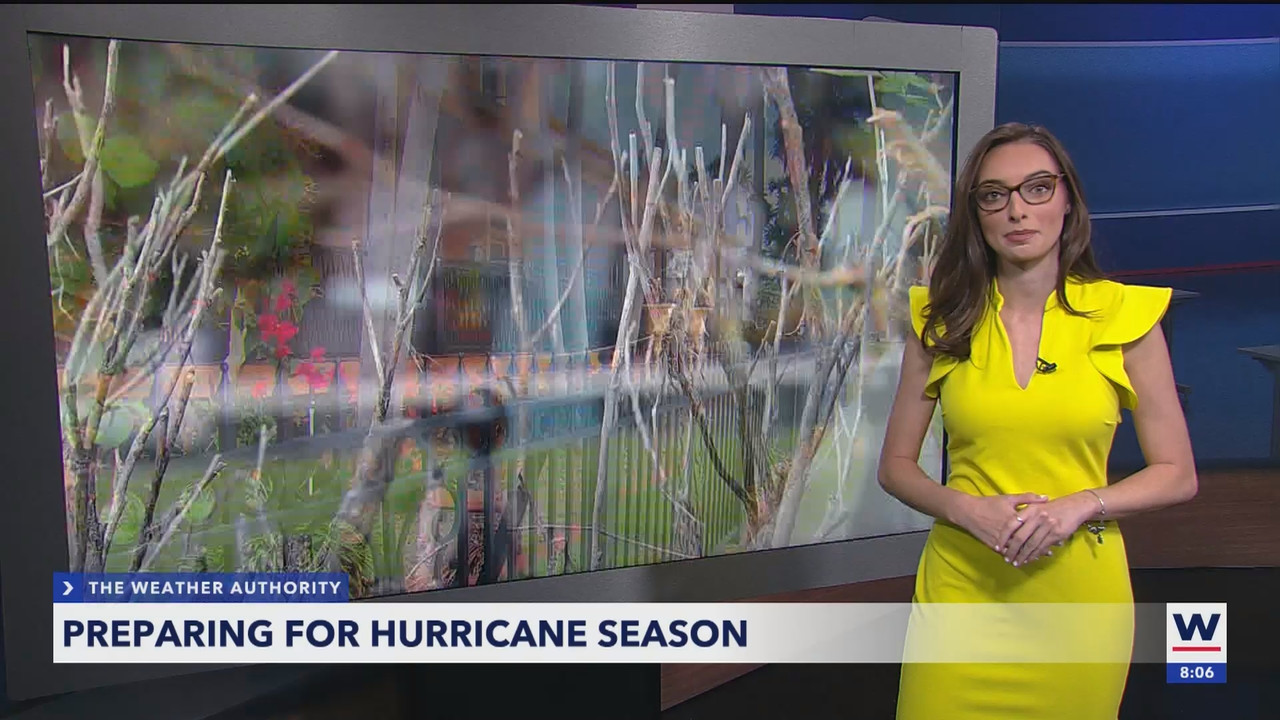 WINK News at 800AM_20250525_13001400.ts_snapshot_06.58.717