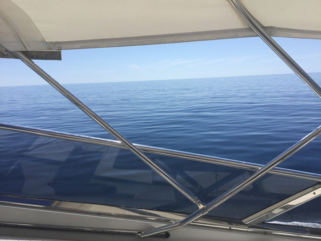 3AD1A5B8-864E-41FE-9B34-30E84D979AF4